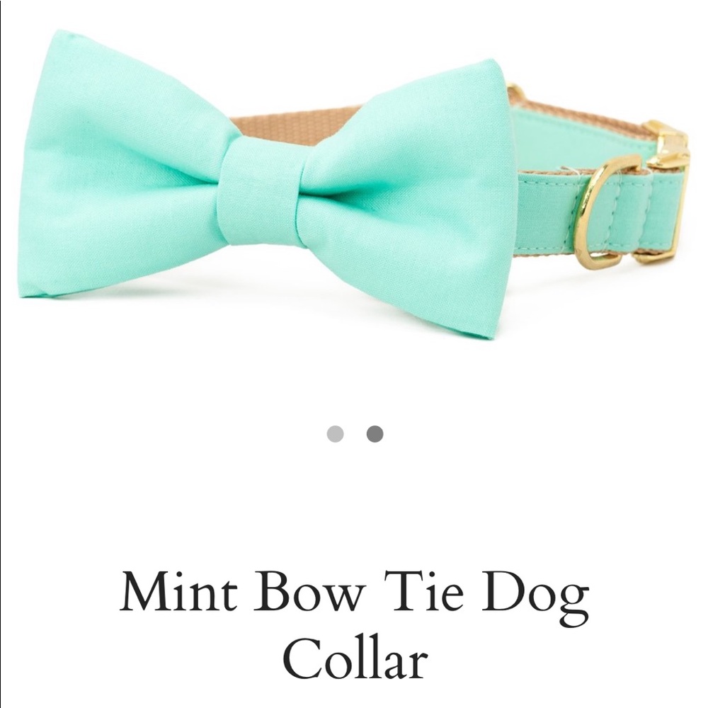 Mint Bow Tie Dog Collar